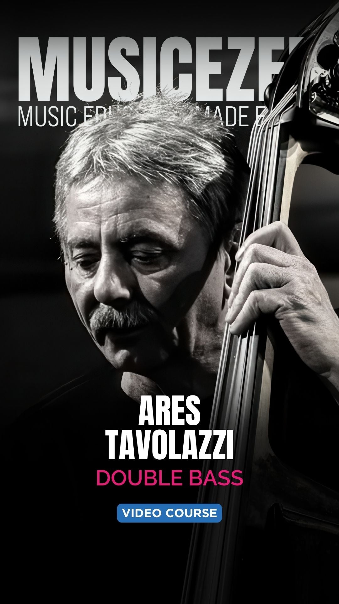 CONTRABBASSO: ISTRUZIONI PER L'USO - Ares Tavolazzi